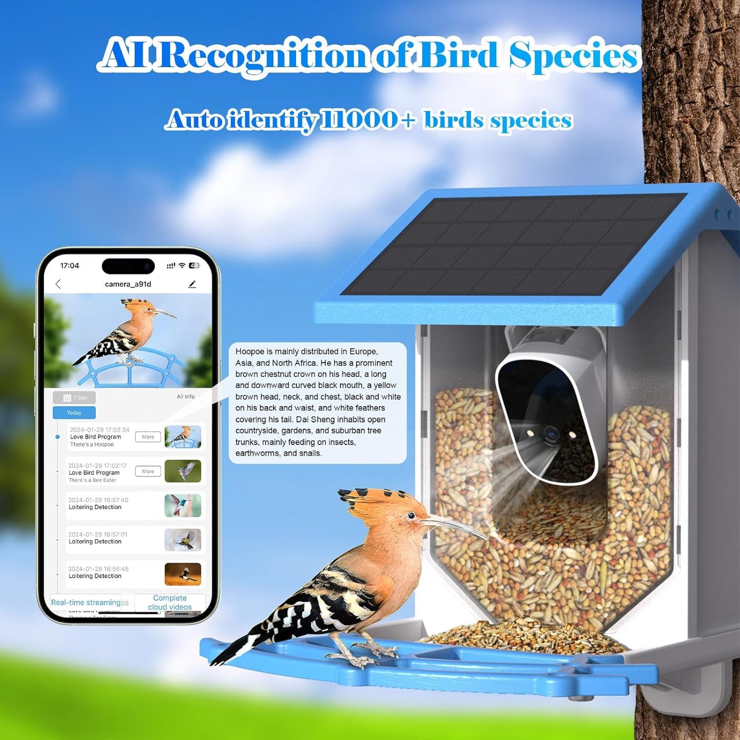 Smart Bird Feeder with Camera,Solar-Powered Wifi 4MP Live Camera,Ai Identify Bird Species Auto Capture Garden Bird Watching&Motion Detection,Ideal Gift for Bird Lovers,Blue